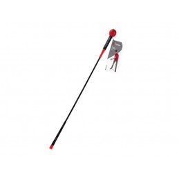 Pure2Improve Tempo trainer...