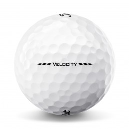 Allergie Nauw smokkel Titleist Velocity golfballen 12 stuks (wit) - laagste prijs bij ons!